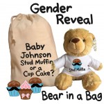 Personalised Gender Reveal Teddy Bear With Matching Gift Bag - Baby Johnson Design - Boy Girl